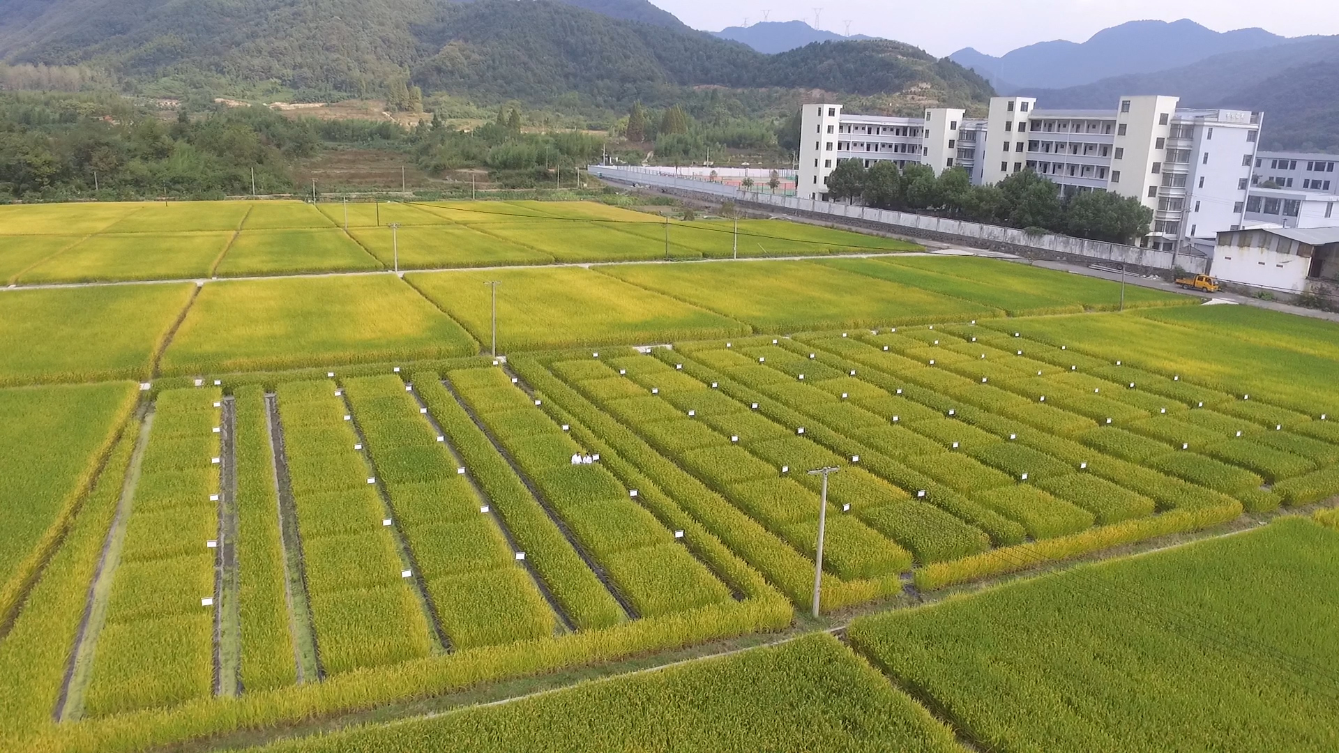 富阳环山生物质炭土壤修复基地