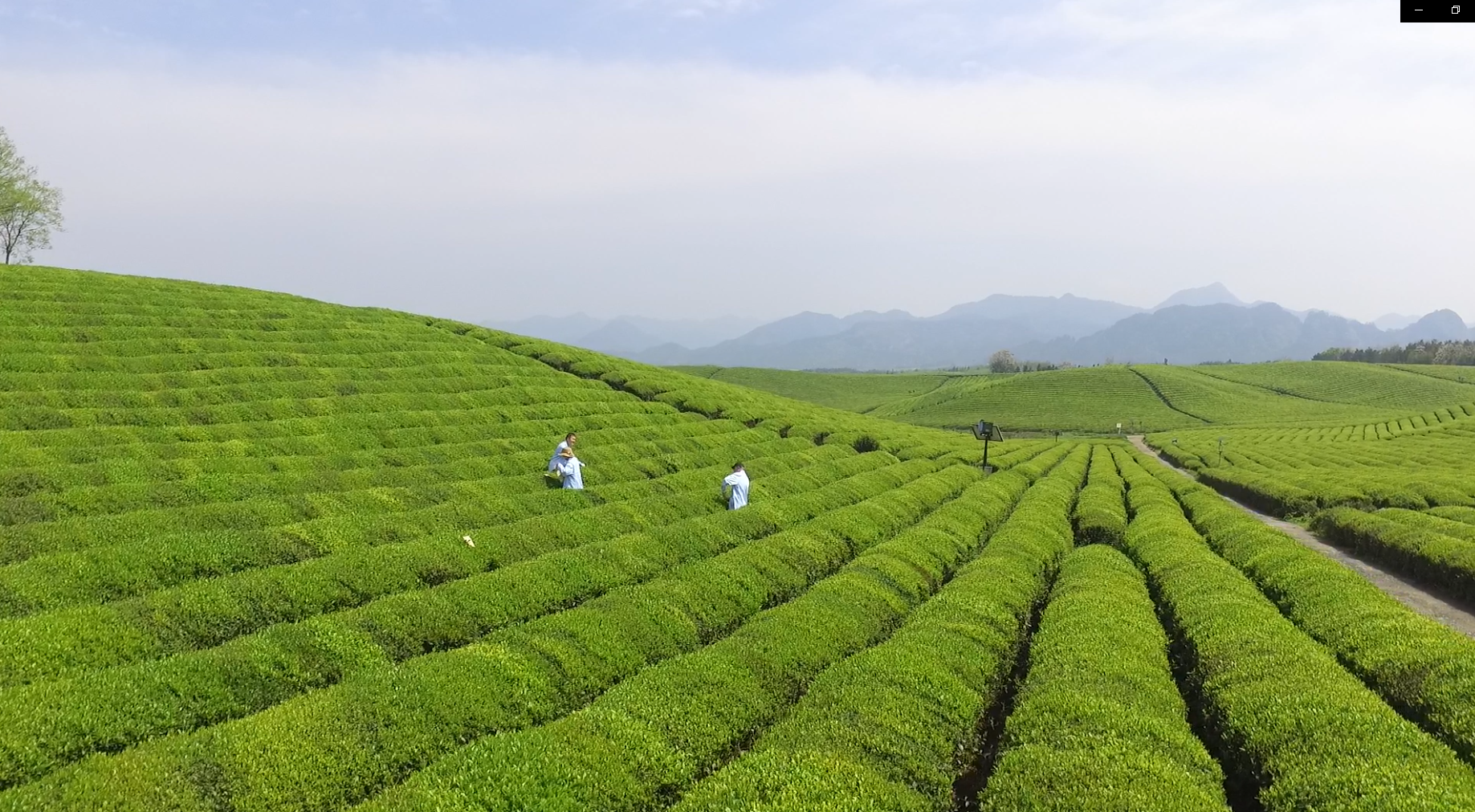 金华生物质炭施用基地