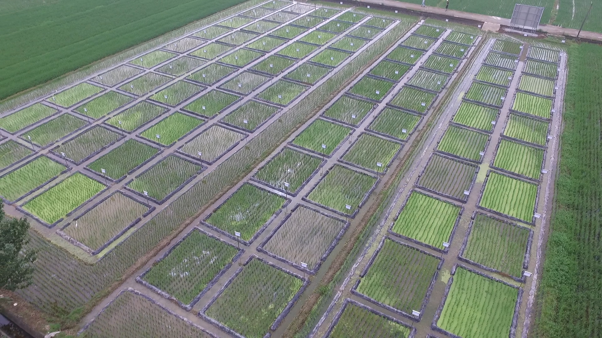 富阳新桐生物质炭土壤修复基地